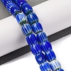 Handmade Lampwork Beads Strands LAMP-K041-01B-08-2