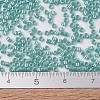 MIYUKI Delica Beads SEED-J020-DB1567-4