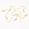Iron Earring Hooks LS-X-E133-G-2