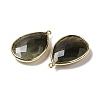Faceted Natural Labradorite Pendants G-M356-B02-LG-4