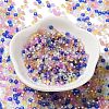 8/0 Glass Seed Beads SEED-Z001-C-E15-4