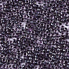Glass Seed Beads X-SEED-S042-07A-02-3