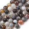 Natural Botswana Agate Beads Strands G-H334-A01-02-2