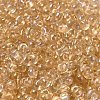 Glass Seed Beads SEED-K009-04A-04-3