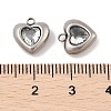 304 Stainless Steel Micro Pave Cubic Zirconia Charms STAS-S131-17P-04-3