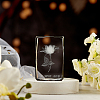 Transparent Glass Display Decorations DJEW-WH0010-40-4