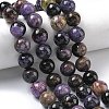 Natural Charoite Beads Strands G-C270-O03-12-1