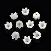 Natural White Shell Bead Caps SSHEL-N032-58A-2