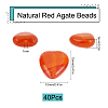 Natural Carnelian Beads Strands G-SC0002-09G-2