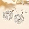 304 Stainless Steel Dangle Earrings EJEW-R015-01P-04-2