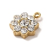 304 Stainless Steel with Crystal Glass Rhinestone Charms STAS-L022-264G-01-2