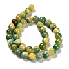 Dyed Natural Agate Beads Strands G-G203-09G-10mm-3