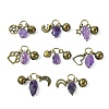 Natural Amethyst Pet Collar Charms HJEW-PH01731-1