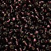 TOHO 6/0 Round Beads X-SEED-TR06-0026C-4