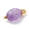 Natural Amethyst Charms PALLOY-JF01092-02-3