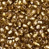 Silver Lined Glass Seed Beads SEED-T007-18A-11-3