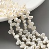 Natural Cultured Freshwater Pearl Beads Strands PEAR-A006-14-2