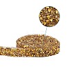 Glitter Resin Hotfix Rhinestone(Hot Melt Adhesive On The Back) OCOR-TAC0004-A-02-2