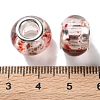 Transparent Two-Color Brass Cores Acrylic European Beads OACR-M024-05S-06-3