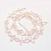 Natural Rose Quartz Beads Strands G-L464-32-3