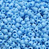 TOHO 6/0 Round Beads X-SEED-TR06-0403F-4