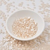 MIYUKI TILA Beads SEED-J020-TL2365-3