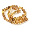 Natural Amber Beads Strands G-L095-E01-07-3