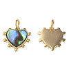 Synthetic Abalone Shell/Paua Shell Charms KK-N233-216-1