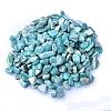 Natural Amazonite Tumbled Chips PW-WGA7DCE-29-1