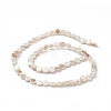AB Color Plated Natural Freshwater Shell Beads Strands X-BSHE-G033-04-2