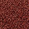 TOHO 11/0 Round Beads X-SEED-TR11-PF2113-2