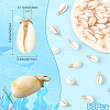 60Pcs Natural Cowrie Shell Dyed Pendants FIND-SC0020-75-2