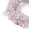 Natural Morganite Beads Strands X-G-P427-03-2