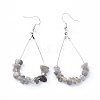 Dangle Earrings EJEW-E255-B04-1