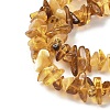 Natural Amber Beads Strands G-L095-D01-01-4