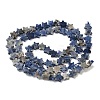 Natural Sodalite Beads Strands G-F817-A08-01-4