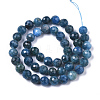 Natural Apatite Beads Strands G-N328-008-2