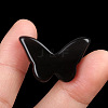 Natural Obsidian Pendants PW-WG51197-05-1