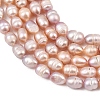 Natural Cultured Freshwater Pearl Beads Strands PEAR-F020-20B-4