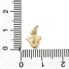 Brass Micro Pave Clear Cubic Zirconia Pendants LS-ZIRC-I070-034G-3