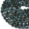 Natural Moss Agate Beads Strands G-K389-D03-01-3