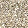 FGB 15/0 Grade A Glass Seed Beads SEED-A023-F15-H634-3