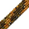 Natural Tourmaline Beads Strands G-P457-A03-14C-1