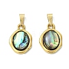 Natural Paua Shell Pendants PALLOY-JF05608-1