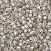 TOHO Round Seed Beads X-SEED-TR08-0021F-2