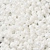 6/0 Glass Seed Beads X1-SEED-M012-01A-16-3