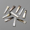 Natural Black Lip Shell Pendants LS-FIND-WH0117-09-2