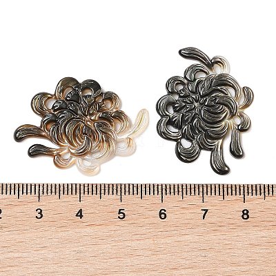 Natural Black Lip Shell Carved Cabochons SSHEL-C012-24A-1