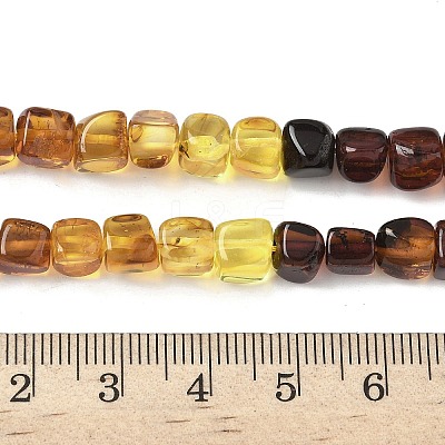 Natural Amber Beads Strands G-L095-E01-02-1