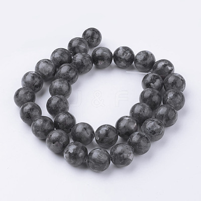 Natural Black Larvikite Bead Strands G-G735-57-12mm-1